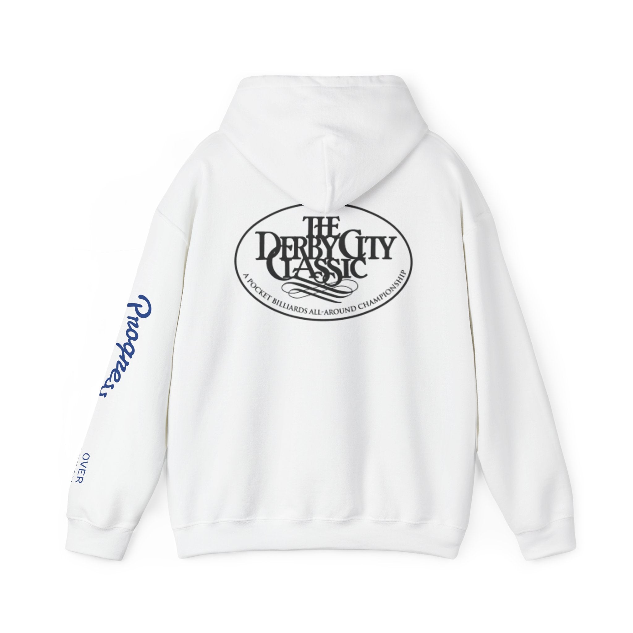 9 Ball Pool Logo Hoodie | Pool Player Photo Back Print