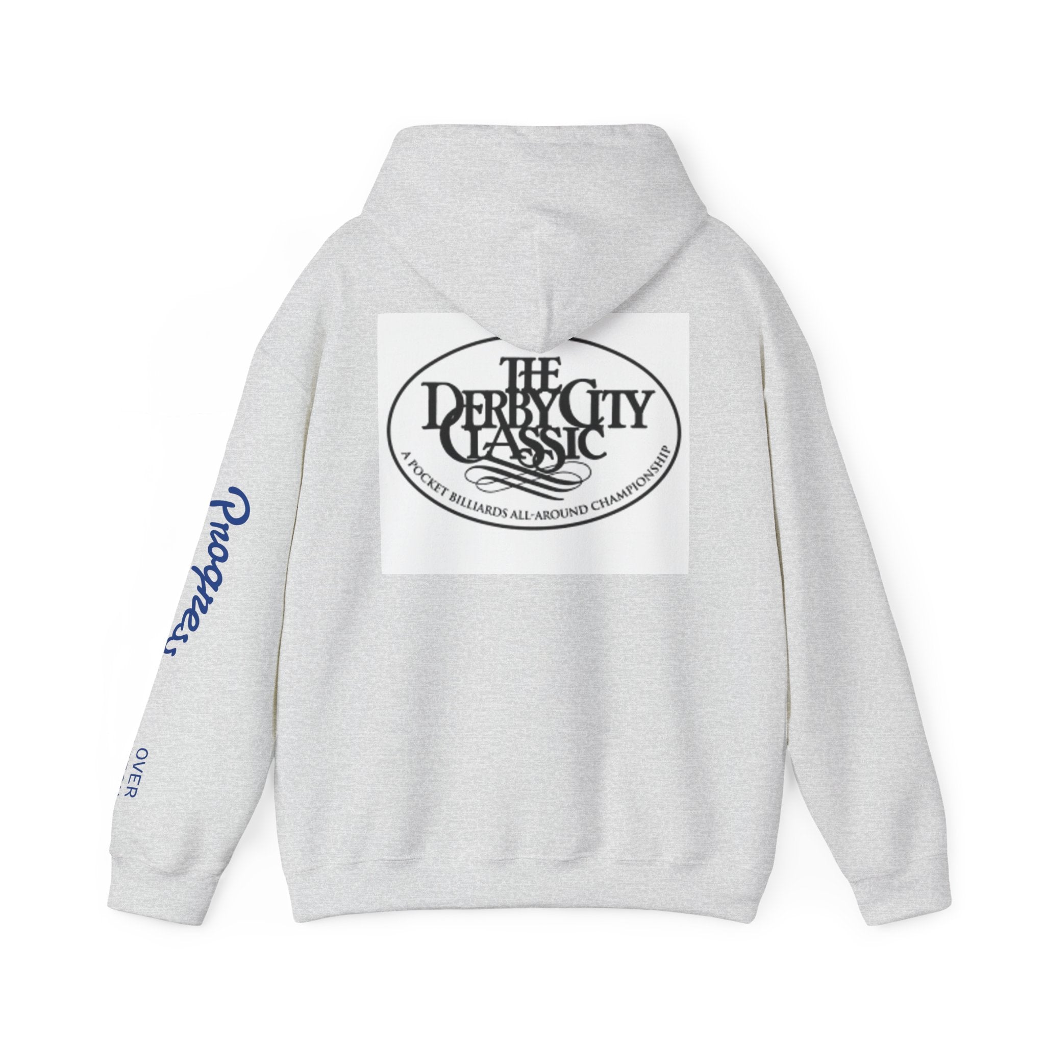 9 Ball Pool Logo Hoodie | Pool Player Photo Back Print